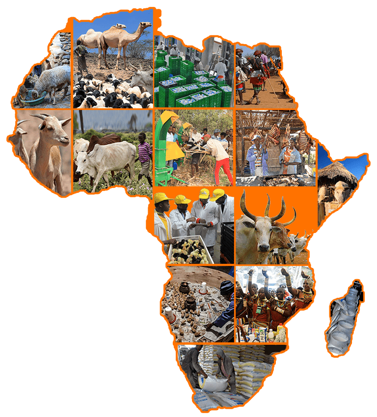 africa livestock investment master plan